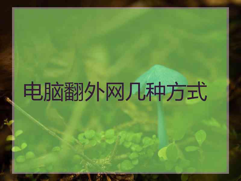 电脑翻外网几种方式