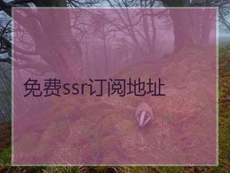 免费ssr订阅地址