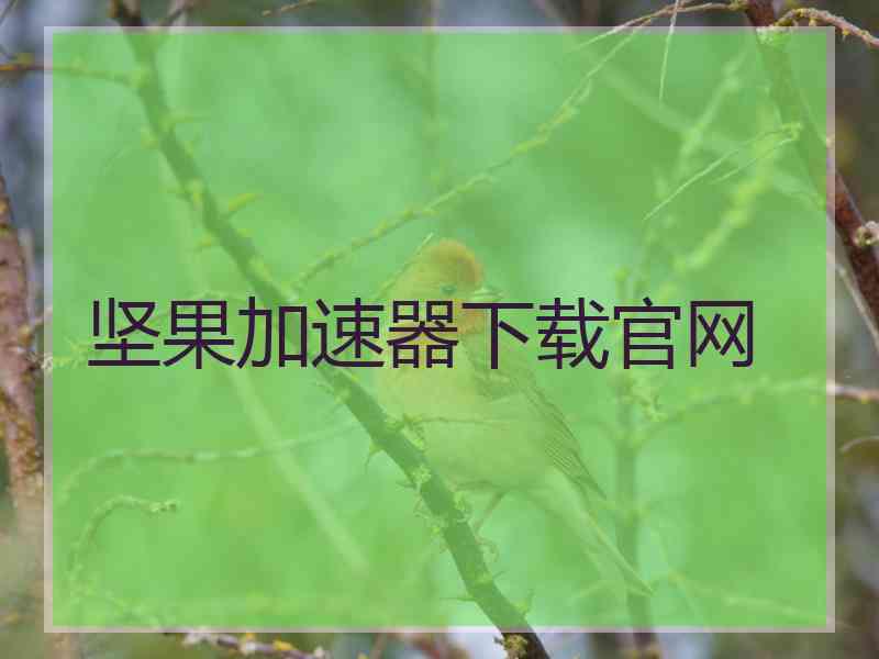 坚果加速器下载官网