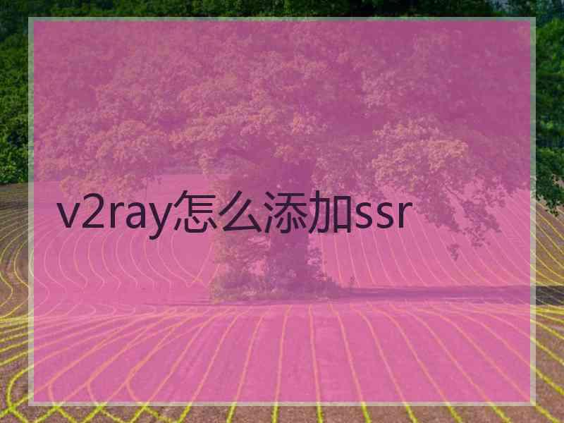 v2ray怎么添加ssr