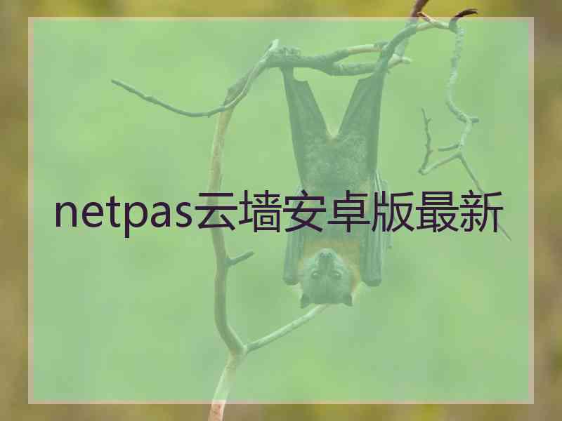 netpas云墙安卓版最新