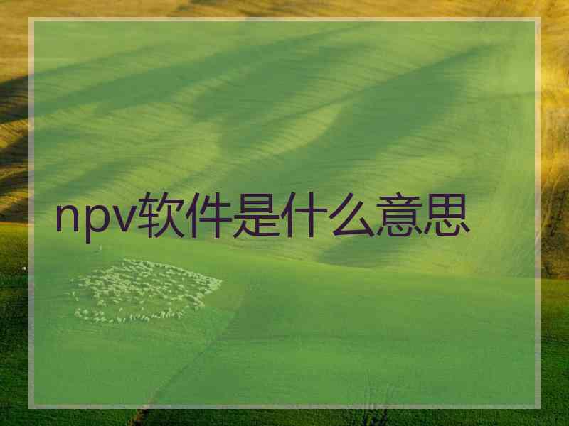 npv软件是什么意思