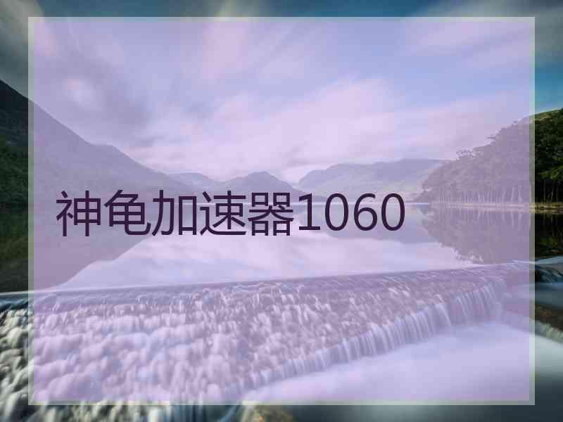 神龟加速器1060