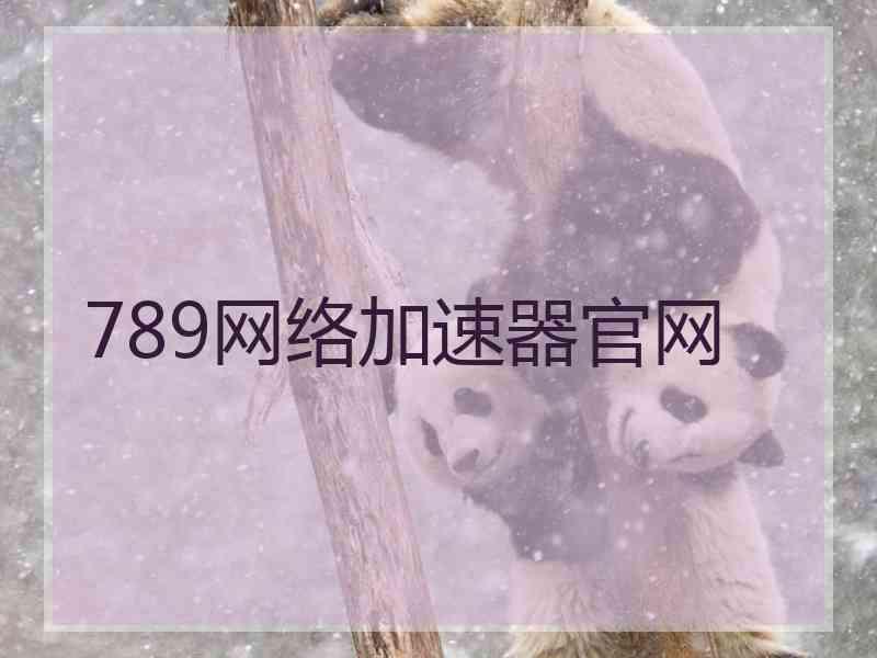 789网络加速器官网