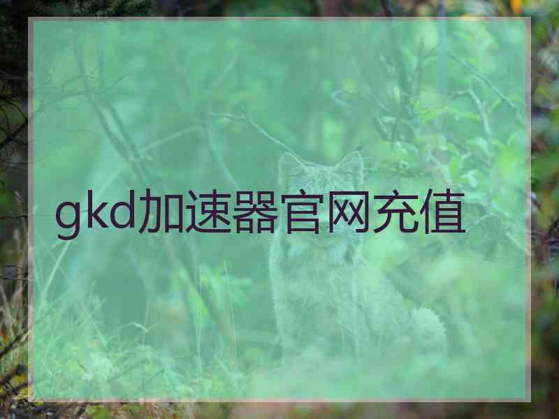 gkd加速器官网充值