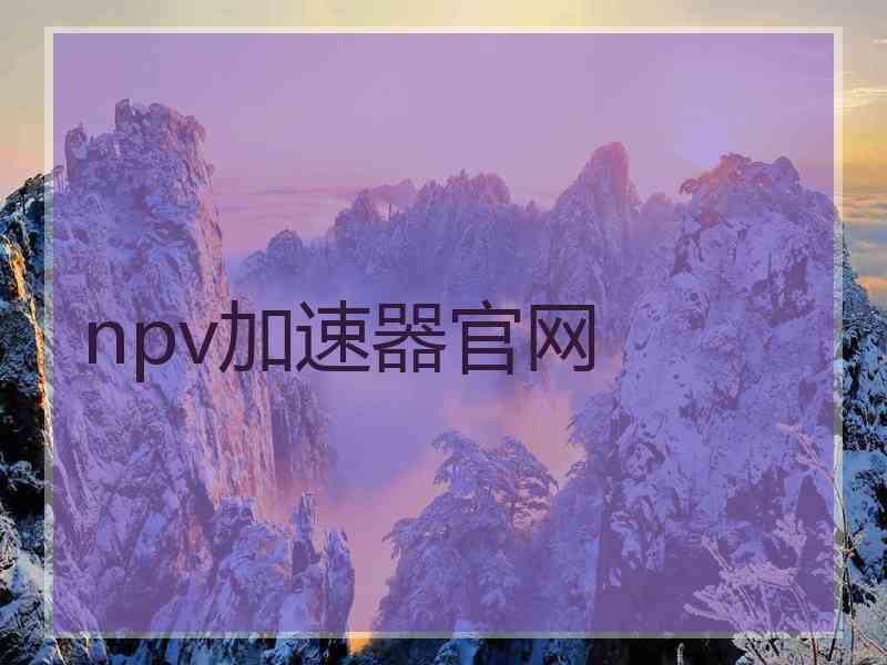 npv加速器官网