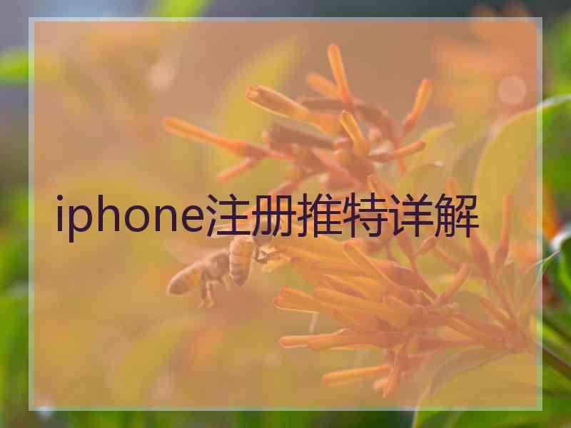 iphone注册推特详解