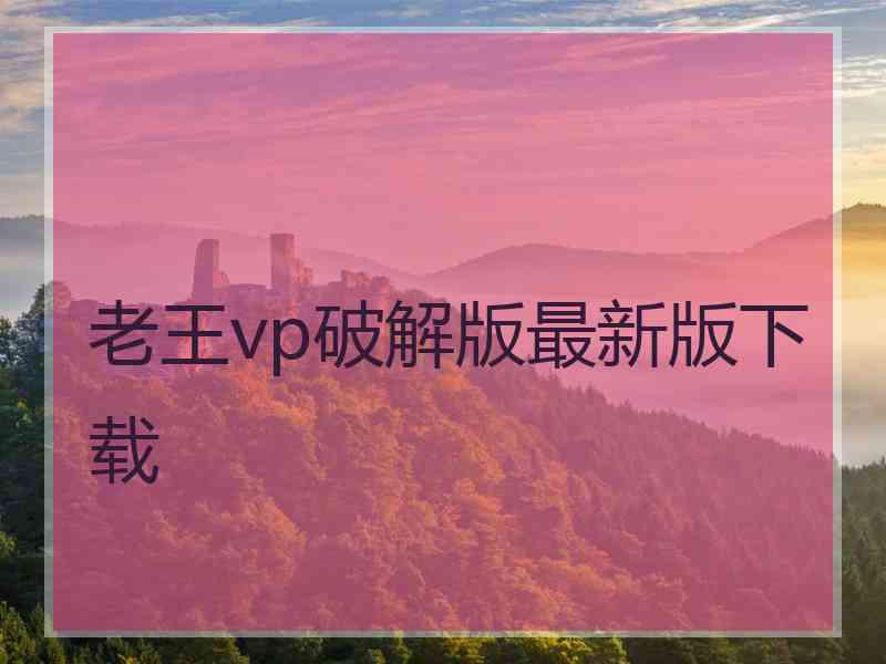 老王vp破解版最新版下载