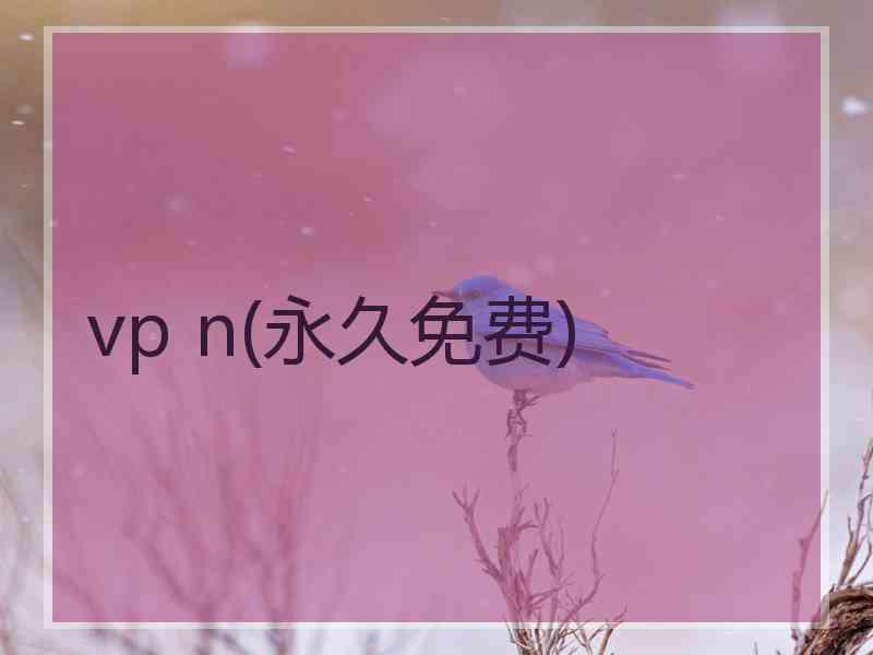 vp n(永久免费)