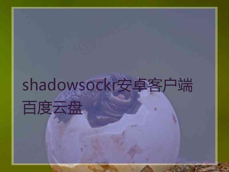 shadowsockr安卓客户端百度云盘