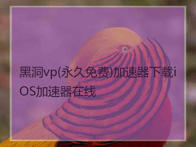 黑洞vp(永久免费)加速器下载iOS加速器在线