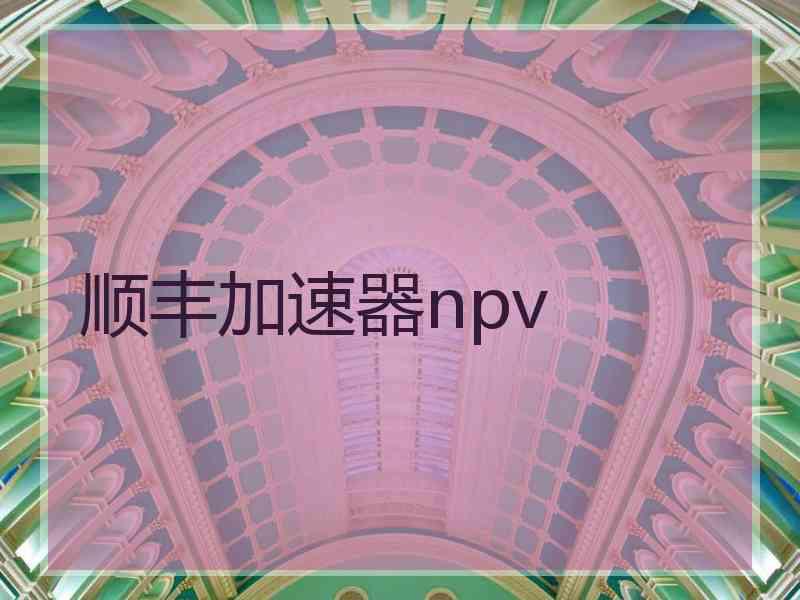 顺丰加速器npv