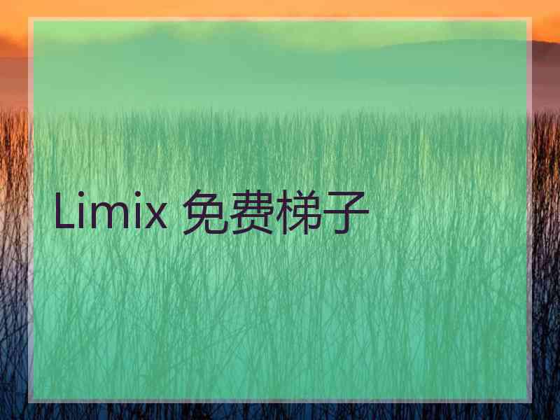 Limix 免费梯子