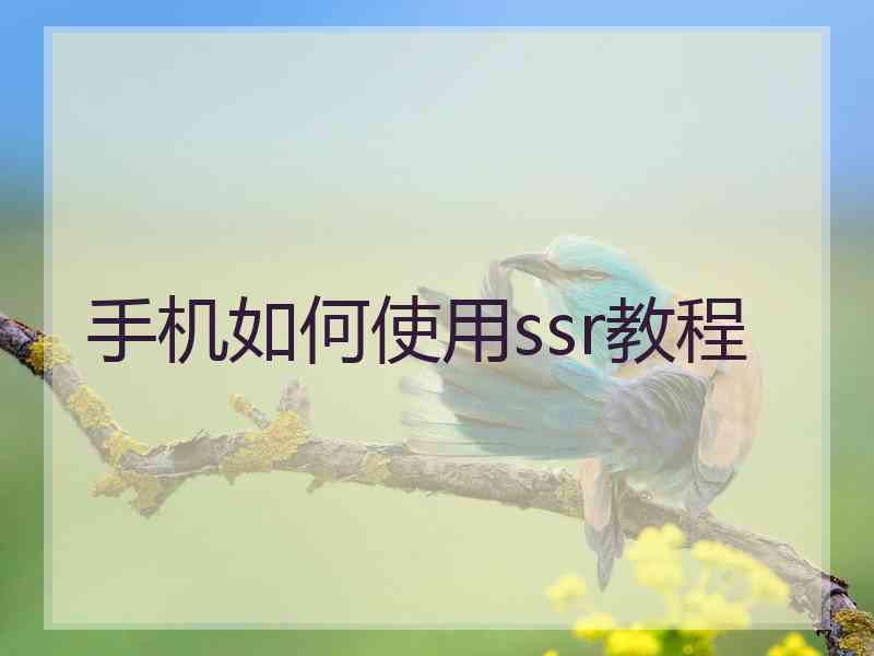 手机如何使用ssr教程