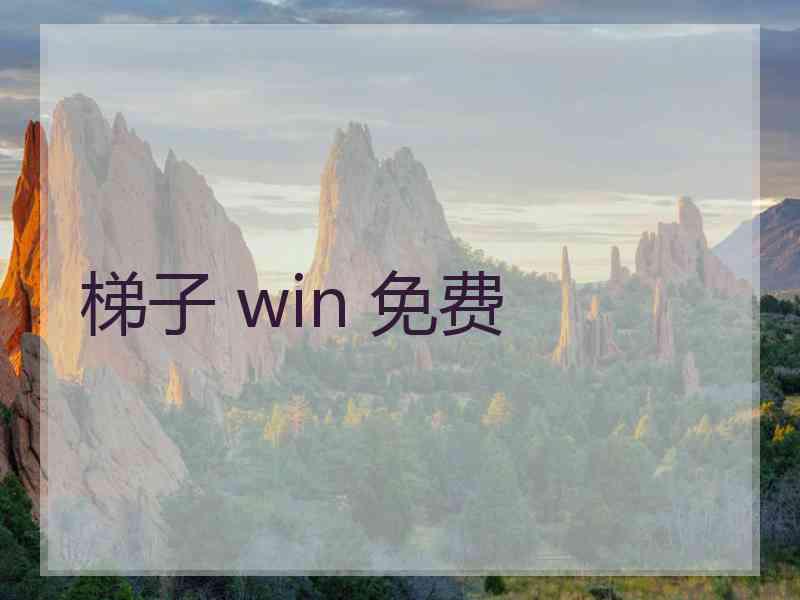 梯子 win 免费