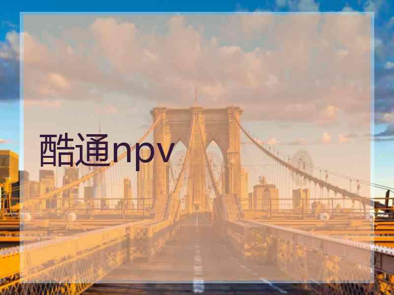 酷通npv