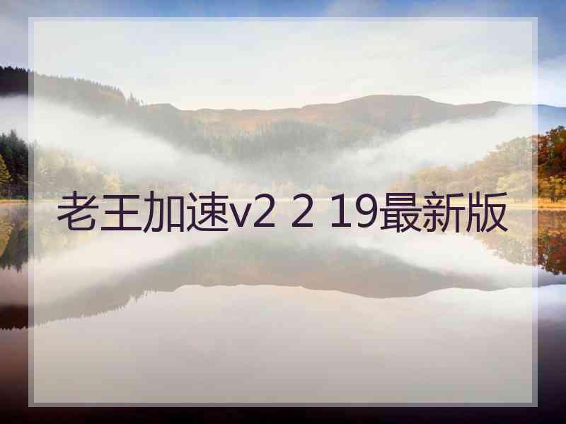 老王加速v2 2 19最新版