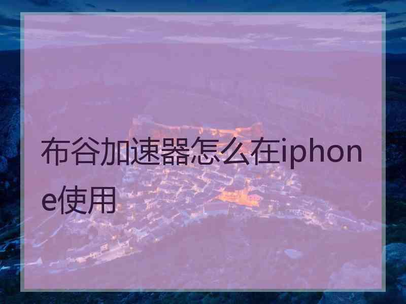 布谷加速器怎么在iphone使用