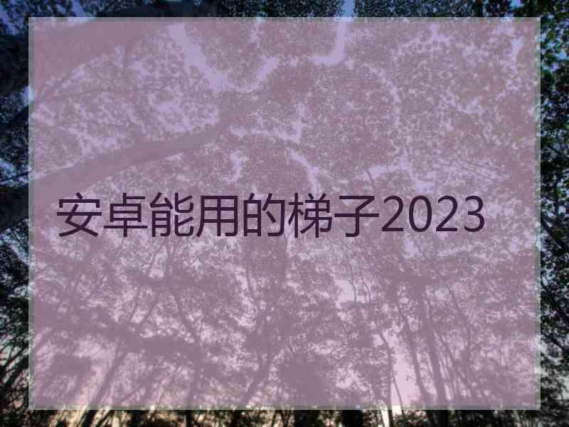 安卓能用的梯子2023