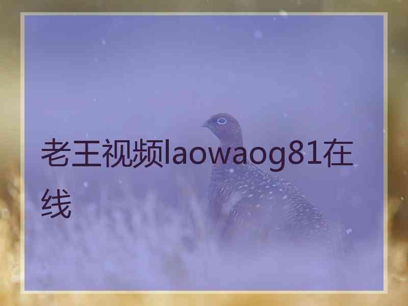 老王视频laowaog81在线