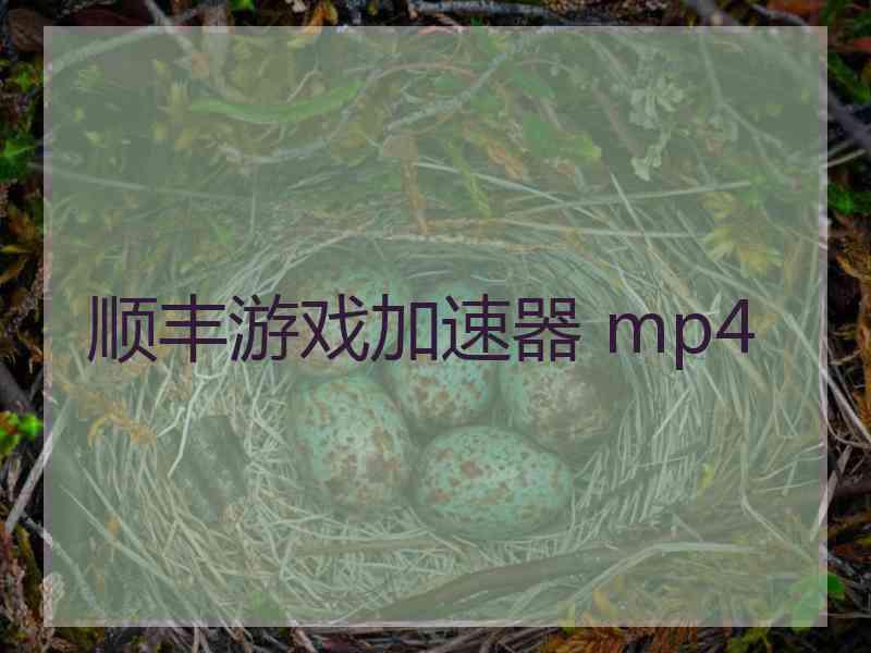 顺丰游戏加速器 mp4