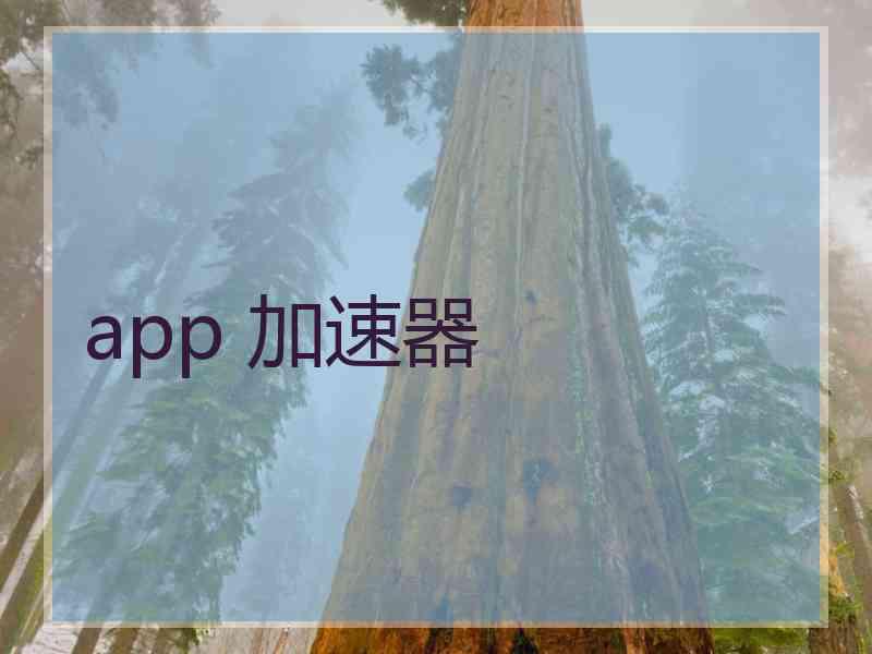 app 加速器