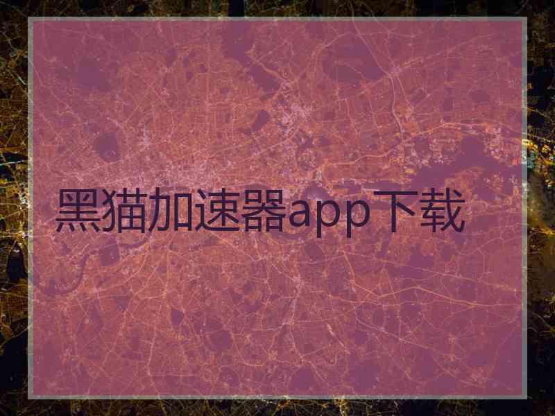 黑猫加速器app下载