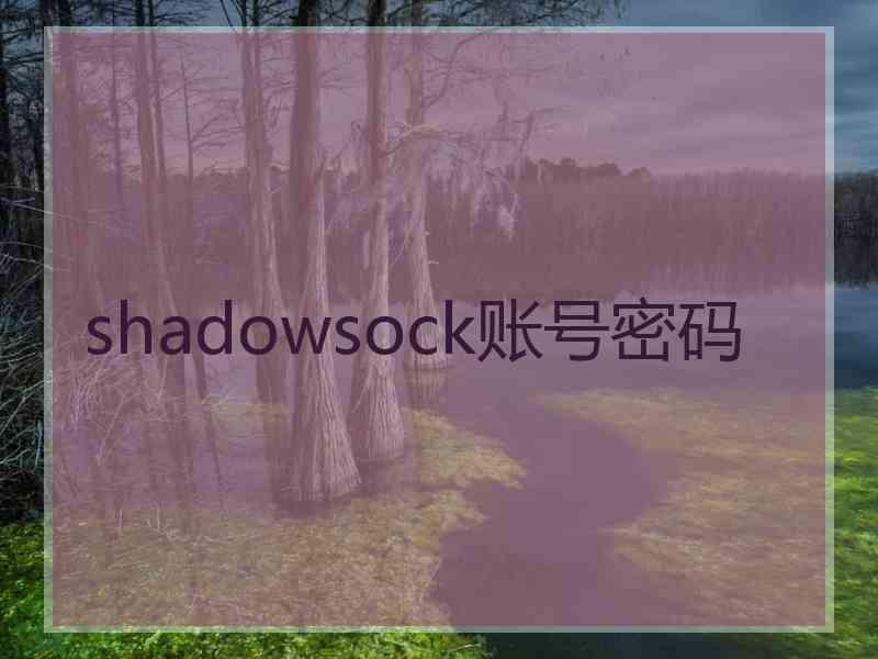 shadowsock账号密码