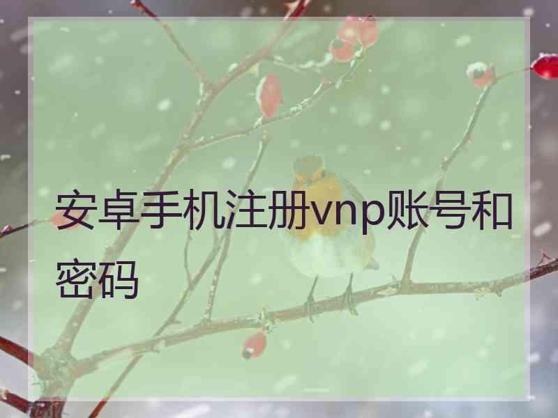 安卓手机注册vnp账号和密码