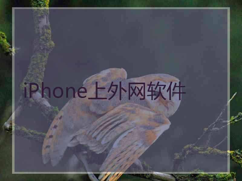 iPhone上外网软件