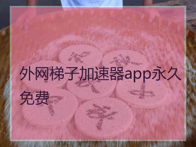 外网梯子加速器app永久免费