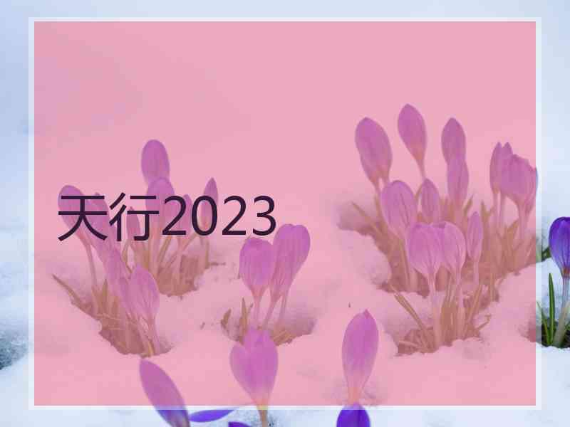 天行2023