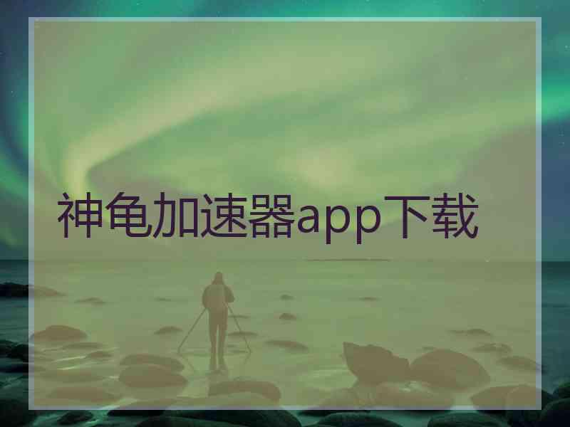 神龟加速器app下载