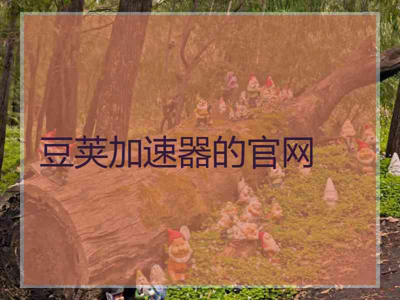 豆荚加速器的官网