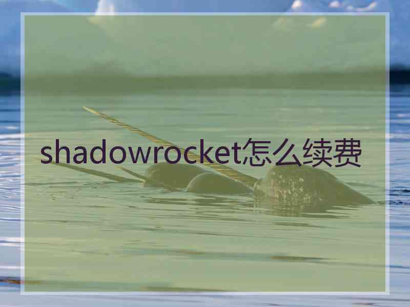 shadowrocket怎么续费