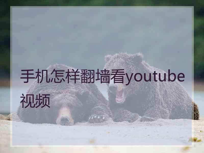 手机怎样翻墙看youtube视频