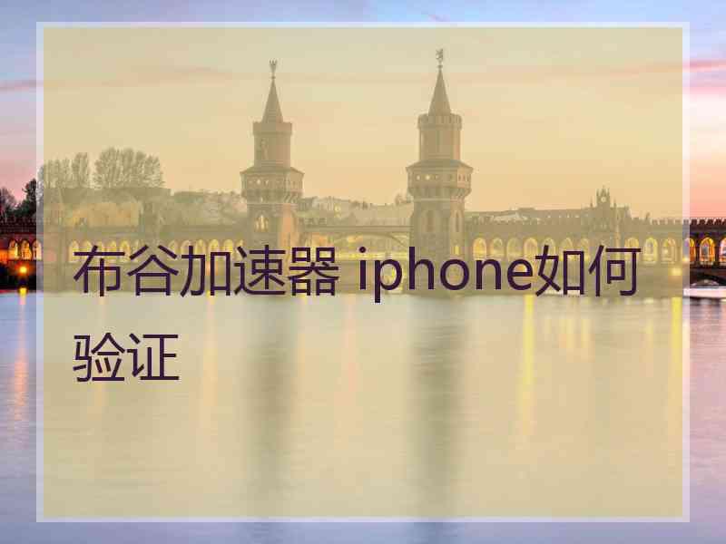 布谷加速器 iphone如何验证