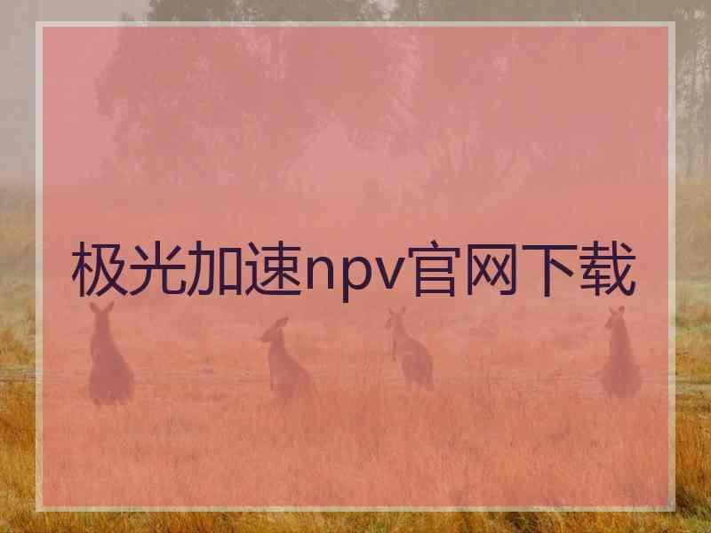 极光加速npv官网下载