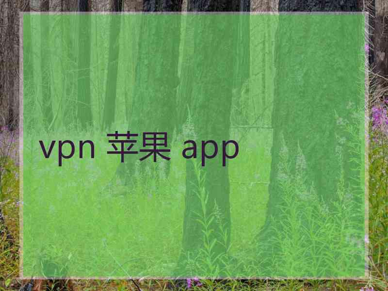 vpn 苹果 app