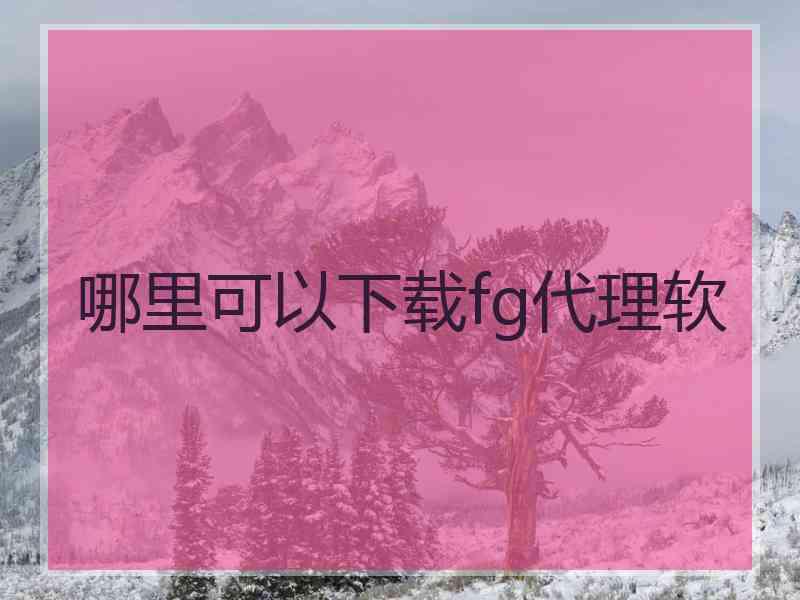 哪里可以下载fg代理软