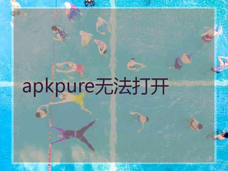 apkpure无法打开