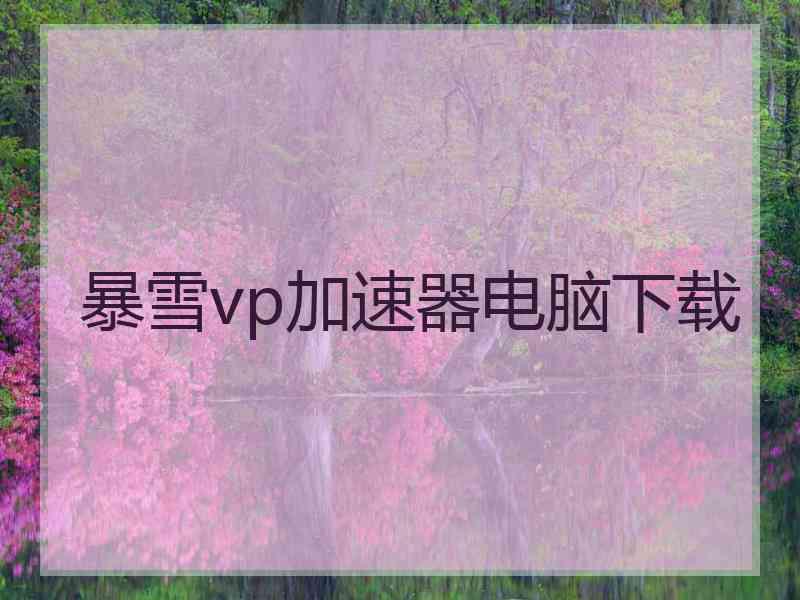 暴雪vp加速器电脑下载