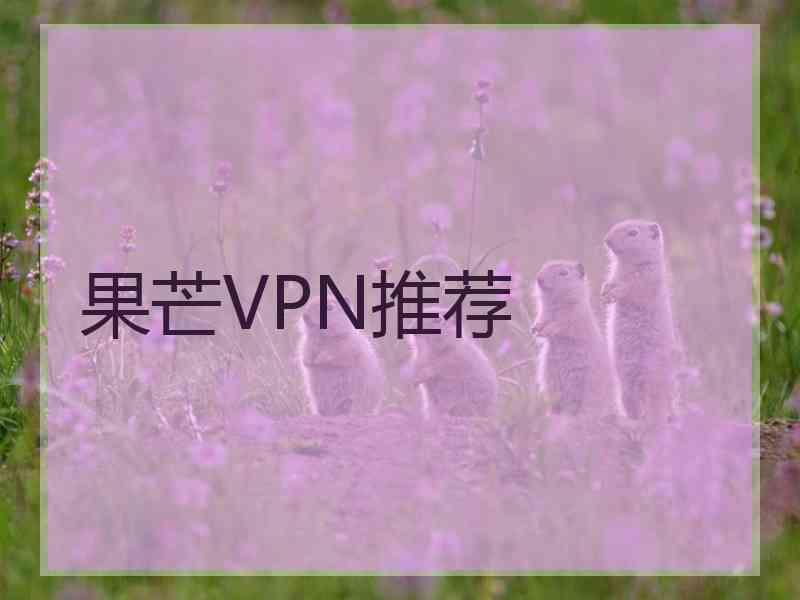 果芒VPN推荐