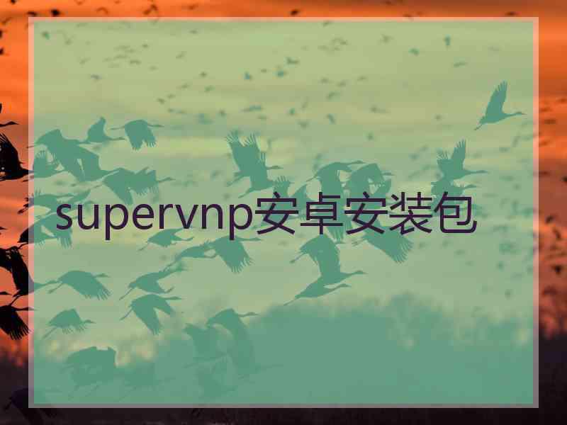 supervnp安卓安装包