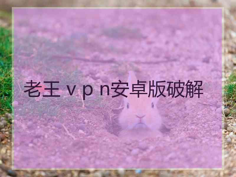 老王 v p n安卓版破解