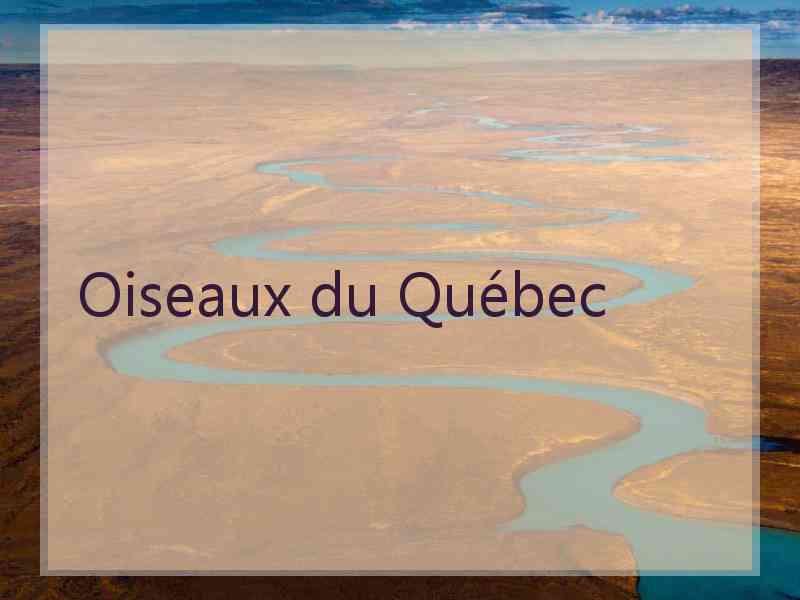 Oiseaux du Québec