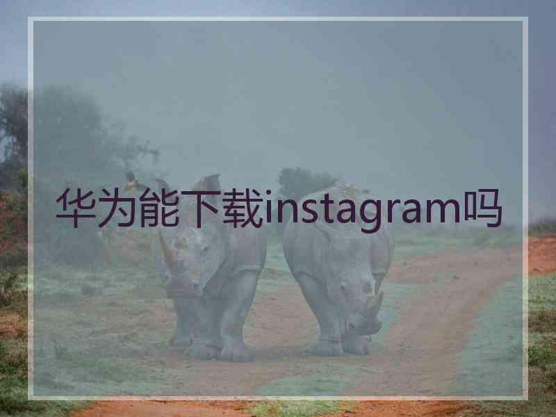 华为能下载instagram吗