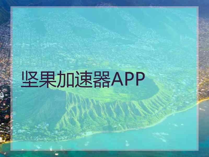 坚果加速器APP