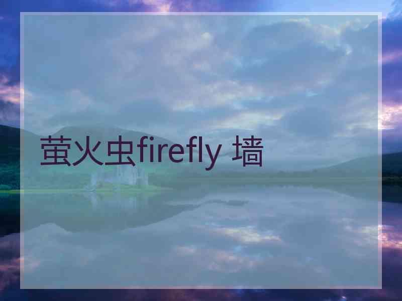 萤火虫firefly 墙