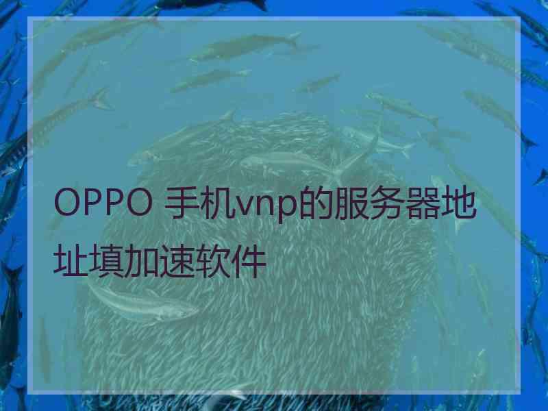 OPPO 手机vnp的服务器地址填加速软件